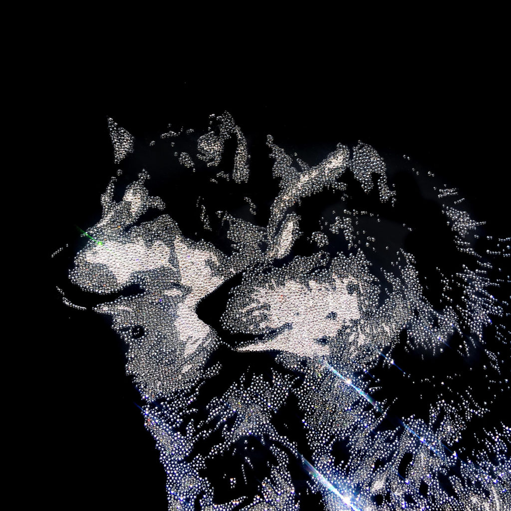 Wolves in love, 12750 Swarovski elements, plexiglass, 60x60 cm, 2017