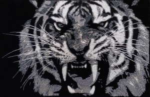 The grey tiger