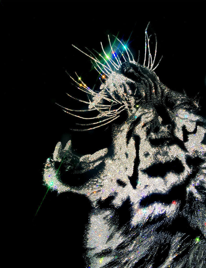 Angry Tiger2, 18300 Crystals from Swarovski® su plexiglas, 80x60 cm. 2016